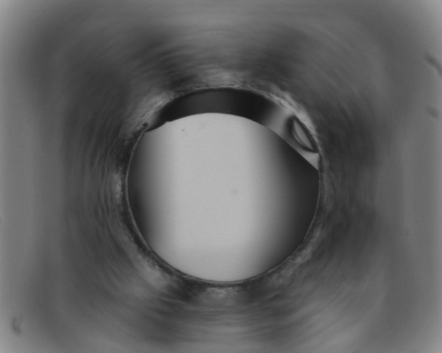 X0000091350057200708311524