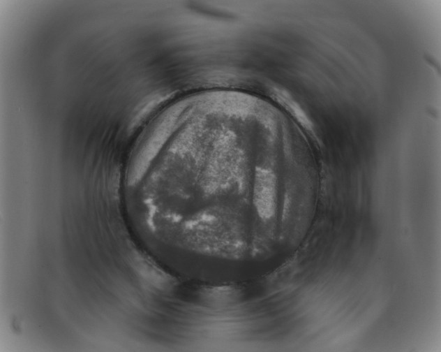 X0000091350058200708311524