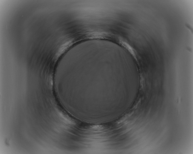 X0000091350059200708311524
