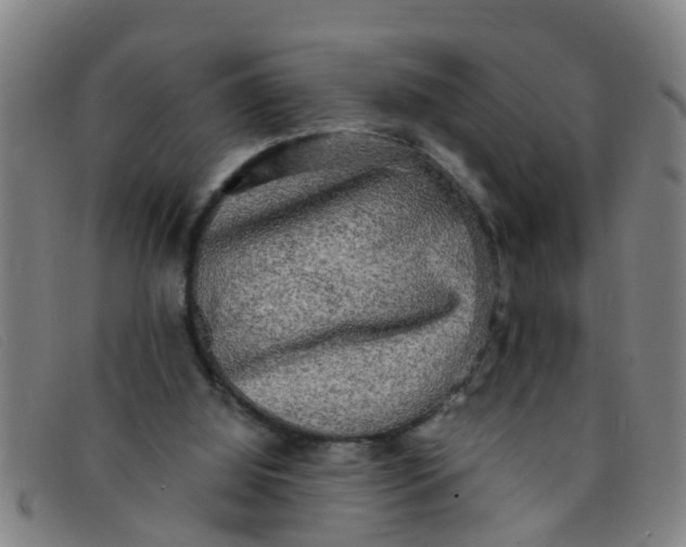 X0000091350060200708311524