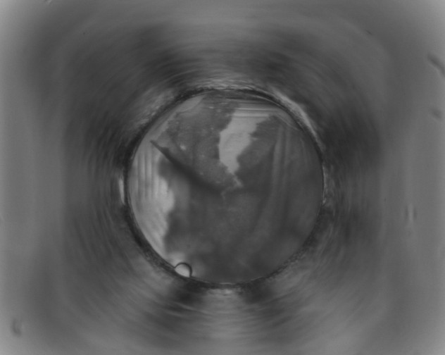 X0000091350061200708311524