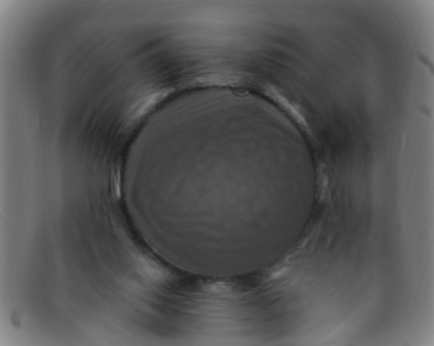 X0000091350062200708311524