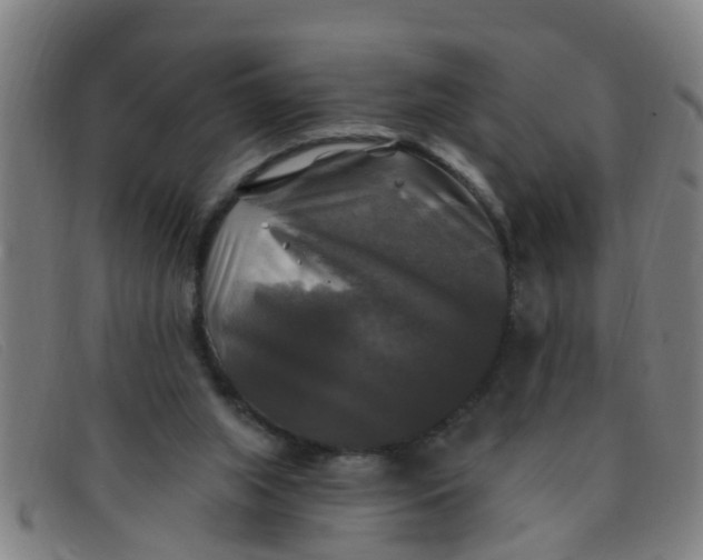X0000091350063200708311524