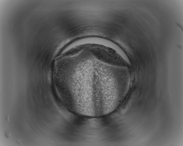 X0000091350064200708311524