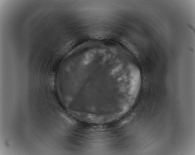 X0000091350065200708311524