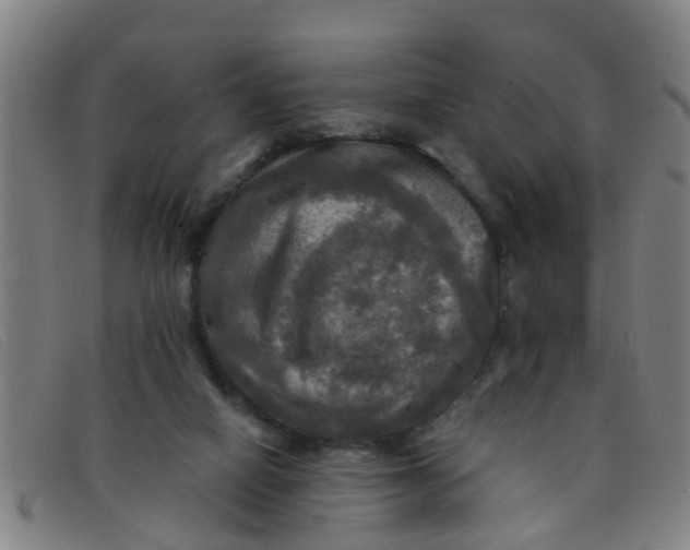 X0000091350066200708311524