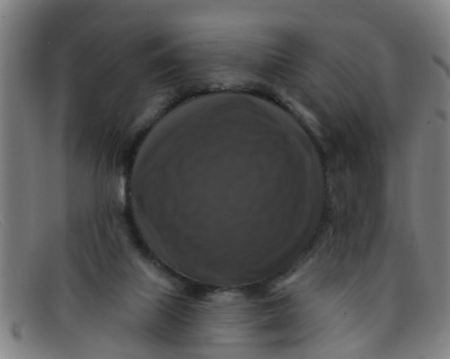 X0000091350067200708311524