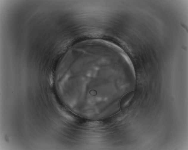 X0000091350069200708311524