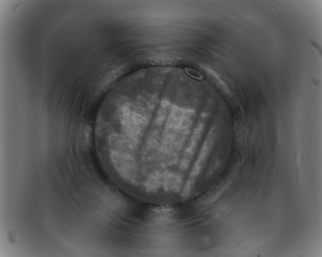 X0000091350071200708311524