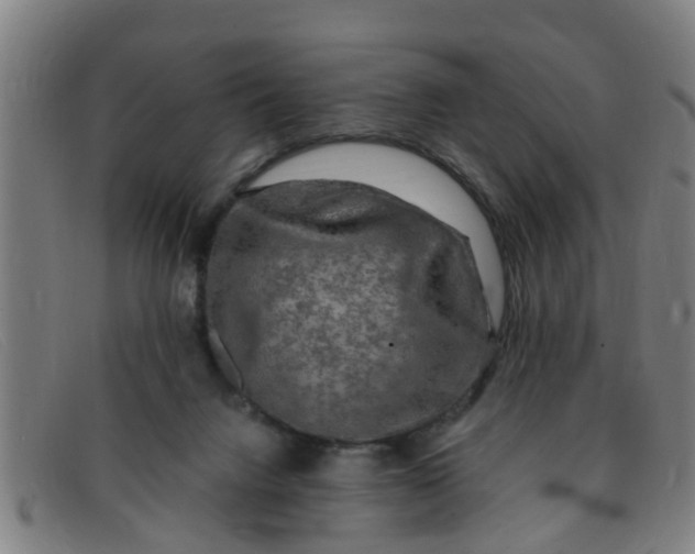 X0000091350072200708311524