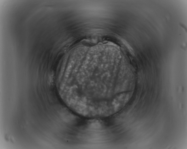 X0000091350073200708311524