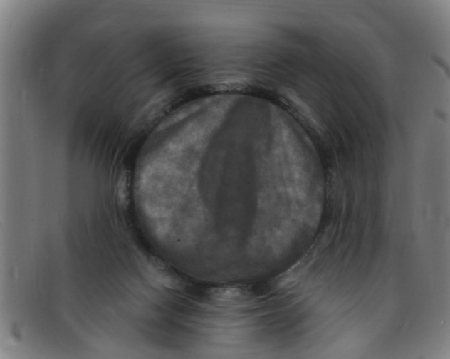 X0000091350074200708311524