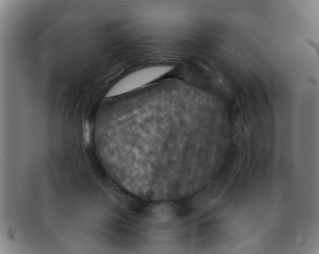 X0000091350075200708311524
