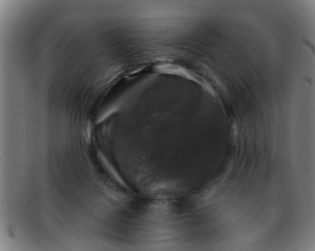 X0000091350076200708311524
