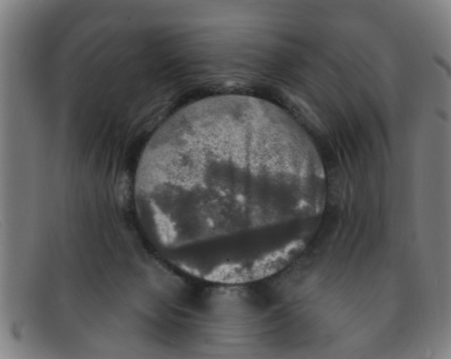 X0000091350077200708311524