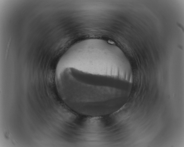 X0000091350078200708311524