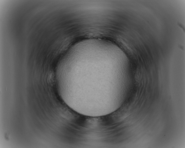 X0000091350079200708311524