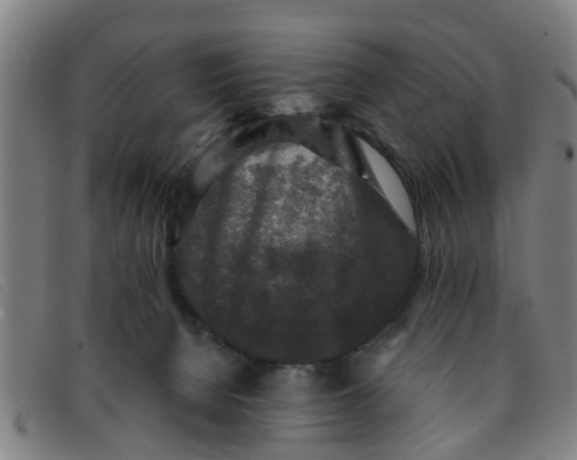 X0000091350080200708311524