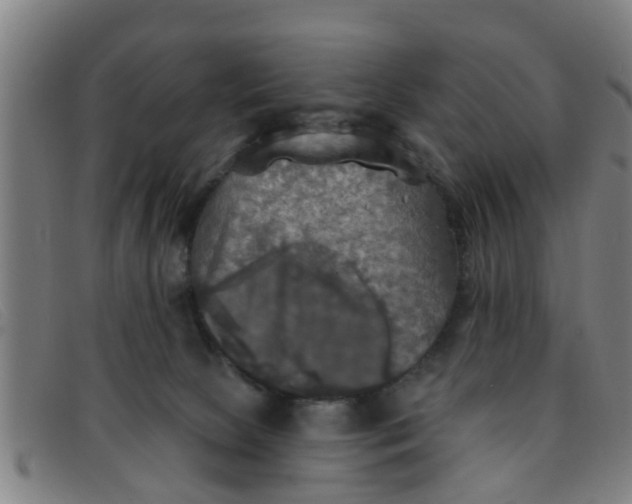 X0000091350081200708311524