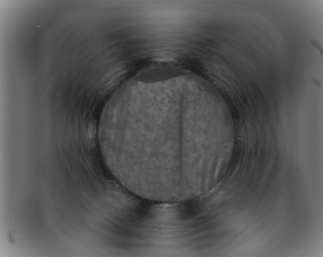 X0000091350082200708311524