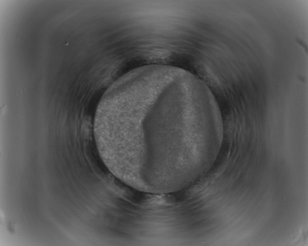 X0000091350083200708311524