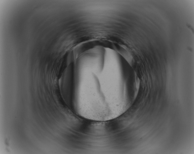 X0000091350084200708311525