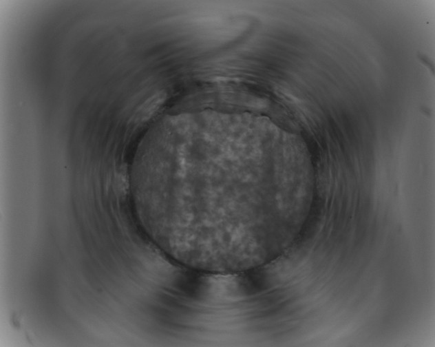 X0000091350085200708311525