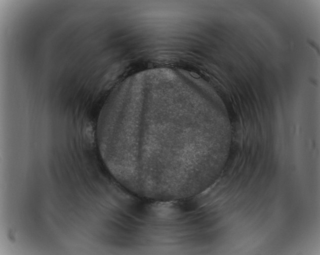 X0000091350086200708311525
