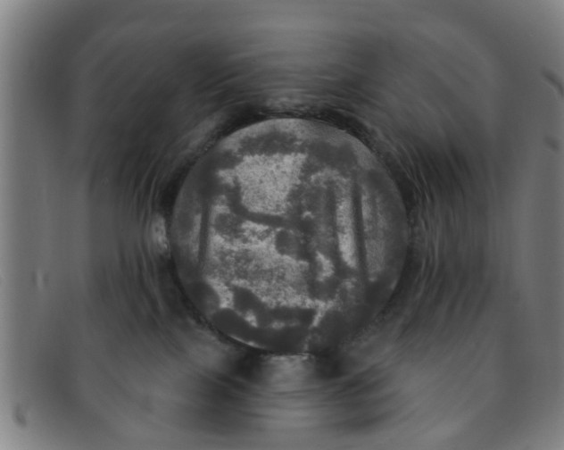 X0000091350089200708311525