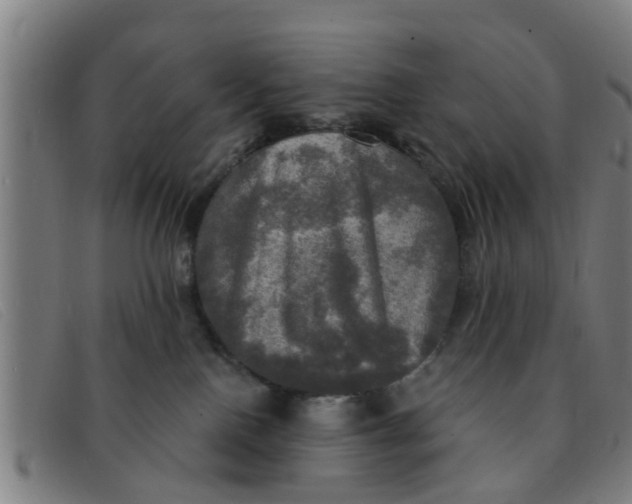 X0000091350090200708311525