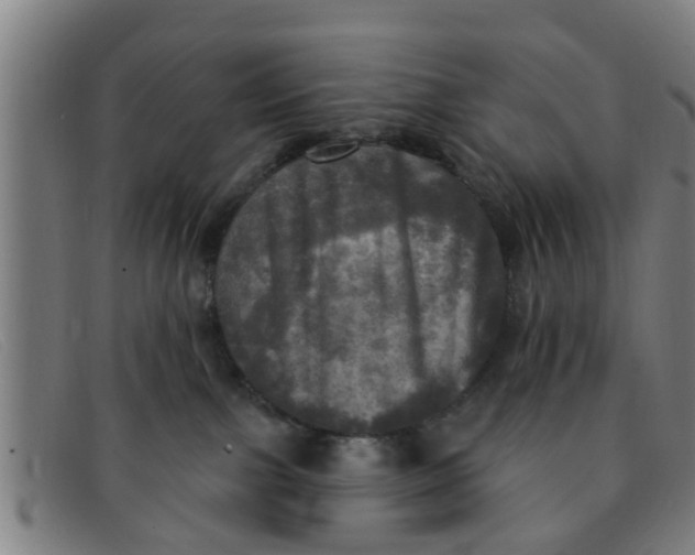 X0000091350091200708311525