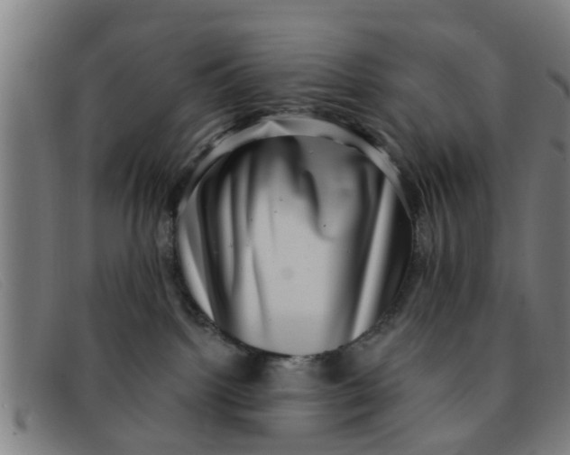 X0000091350092200708311525