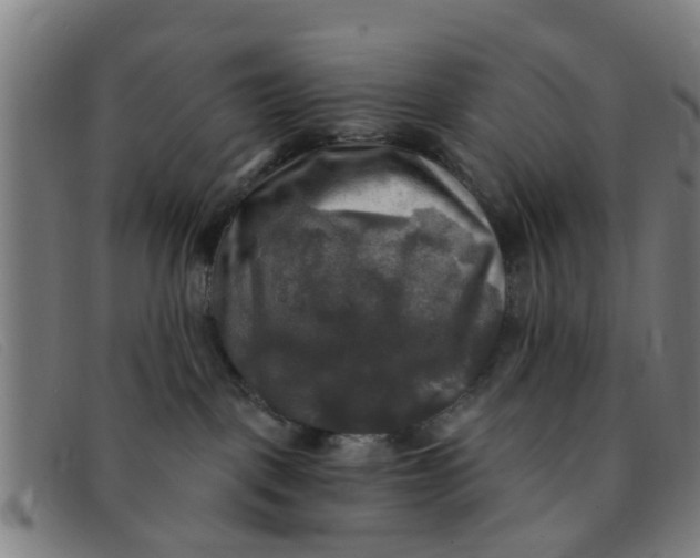 X0000091350093200708311525
