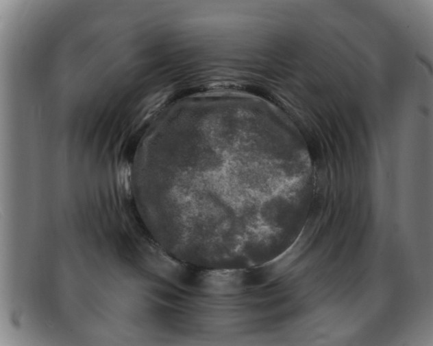 X0000091350094200708311525