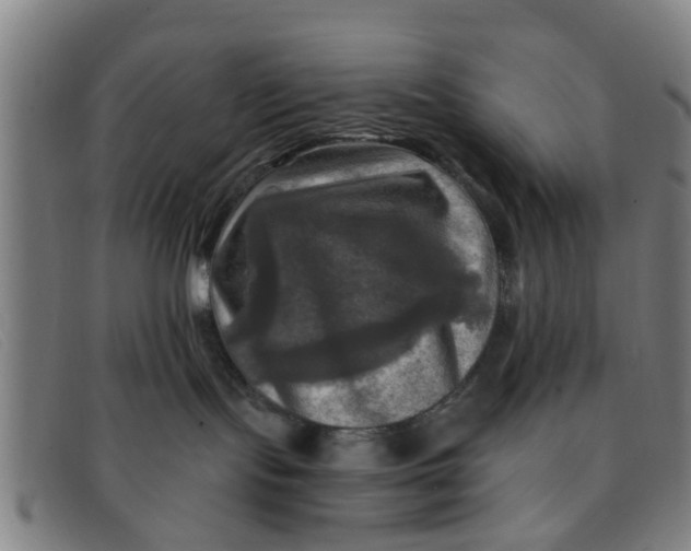 X0000091350095200708311525