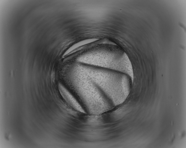 X0000091350096200708311525
