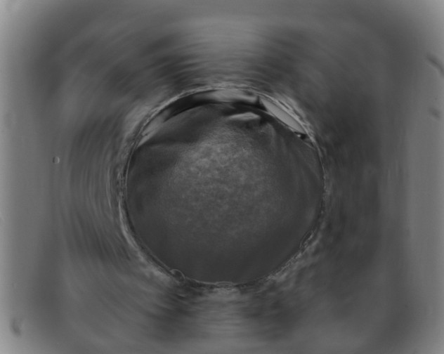 X0000091350097200708311524