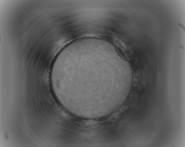 X0000091350098200708311524