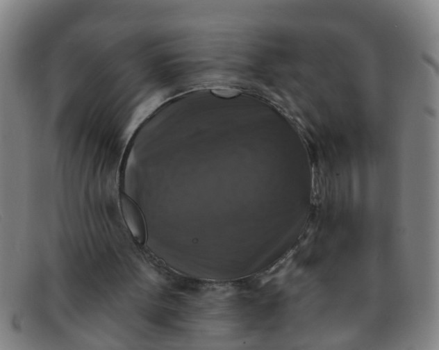 X0000091350099200708311524