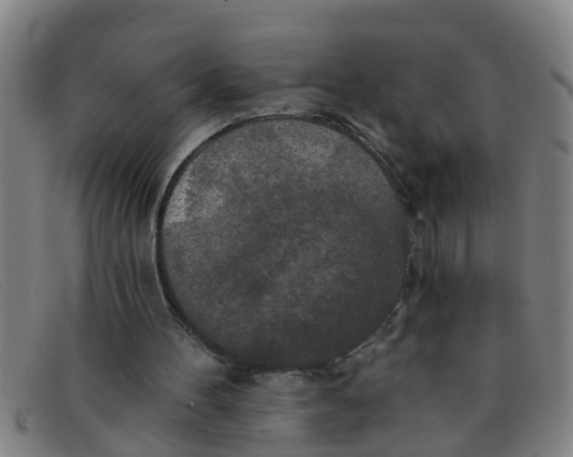 X0000091350100200708311524
