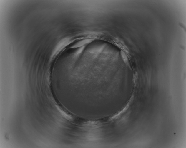 X0000091350101200708311524