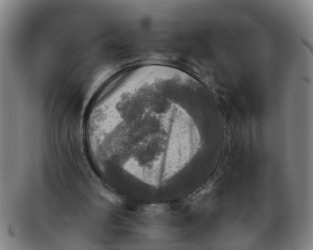 X0000091350102200708311524
