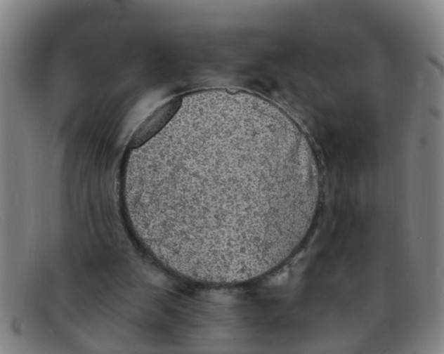 X0000091350103200708311524