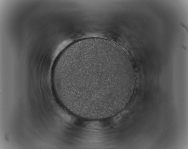 X0000091350104200708311524