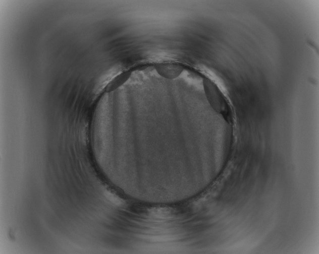 X0000091350105200708311524