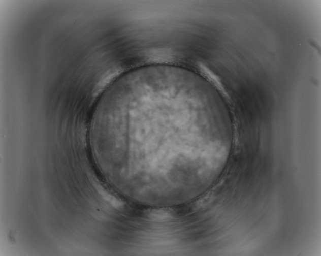 X0000091350106200708311524
