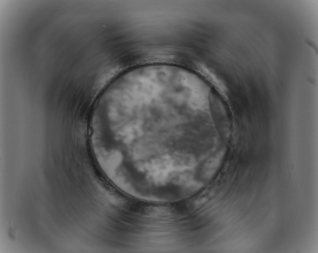 X0000091350107200708311524