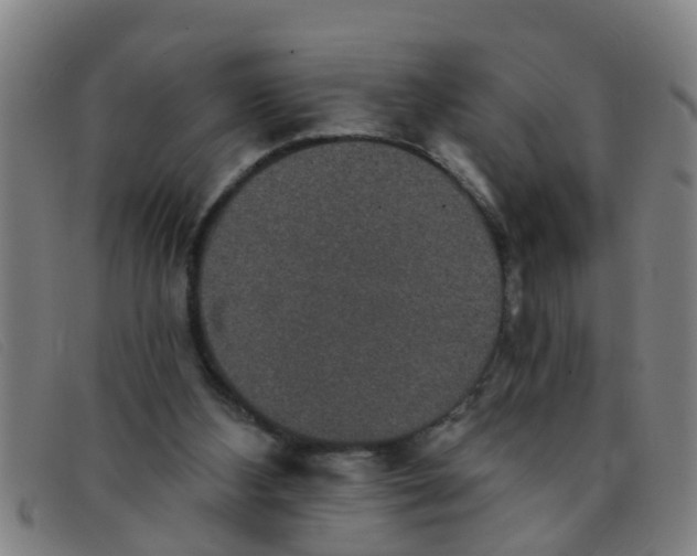 X0000091350108200708311524