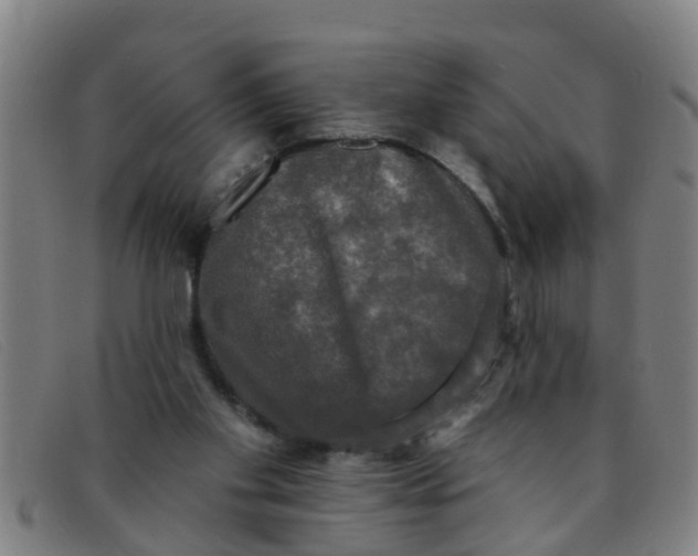X0000091350109200708311524