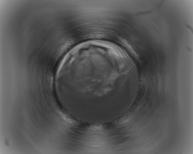 X0000091350110200708311524